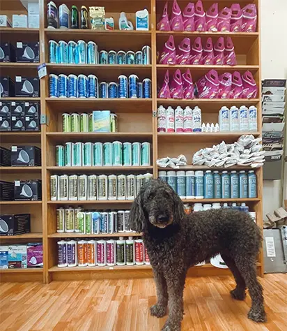 Store Photo
